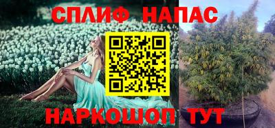 героин Шебекино