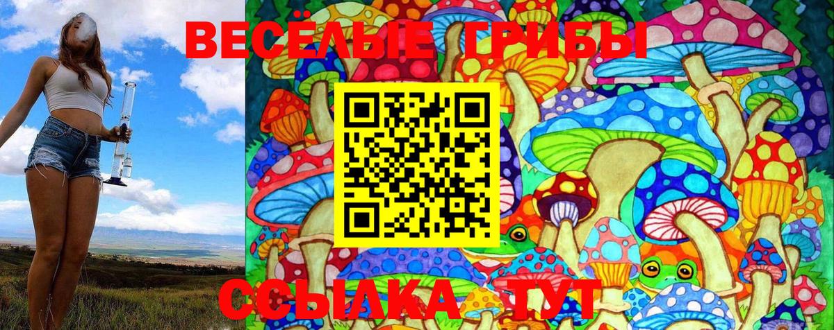 Галлюциногенные грибы прущие грибы  где найти   Артёмовский  Галлюциногенные грибы Psilocybe 