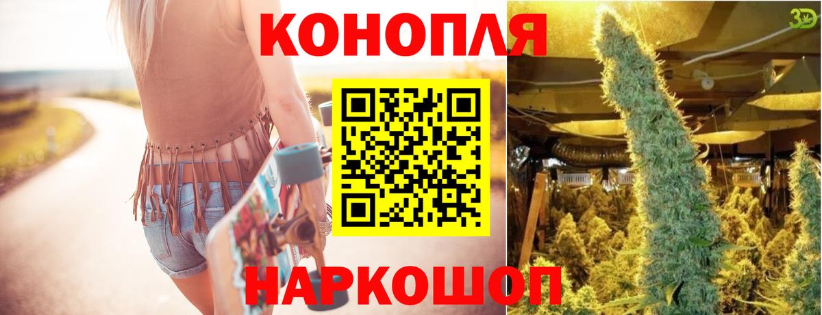 Бошки Шишки планчик Артёмовский